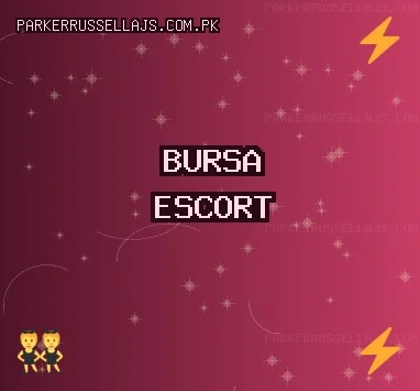 Bursa Escort: İznik Escort, Yenişehir Escort, Osmangazi Escort